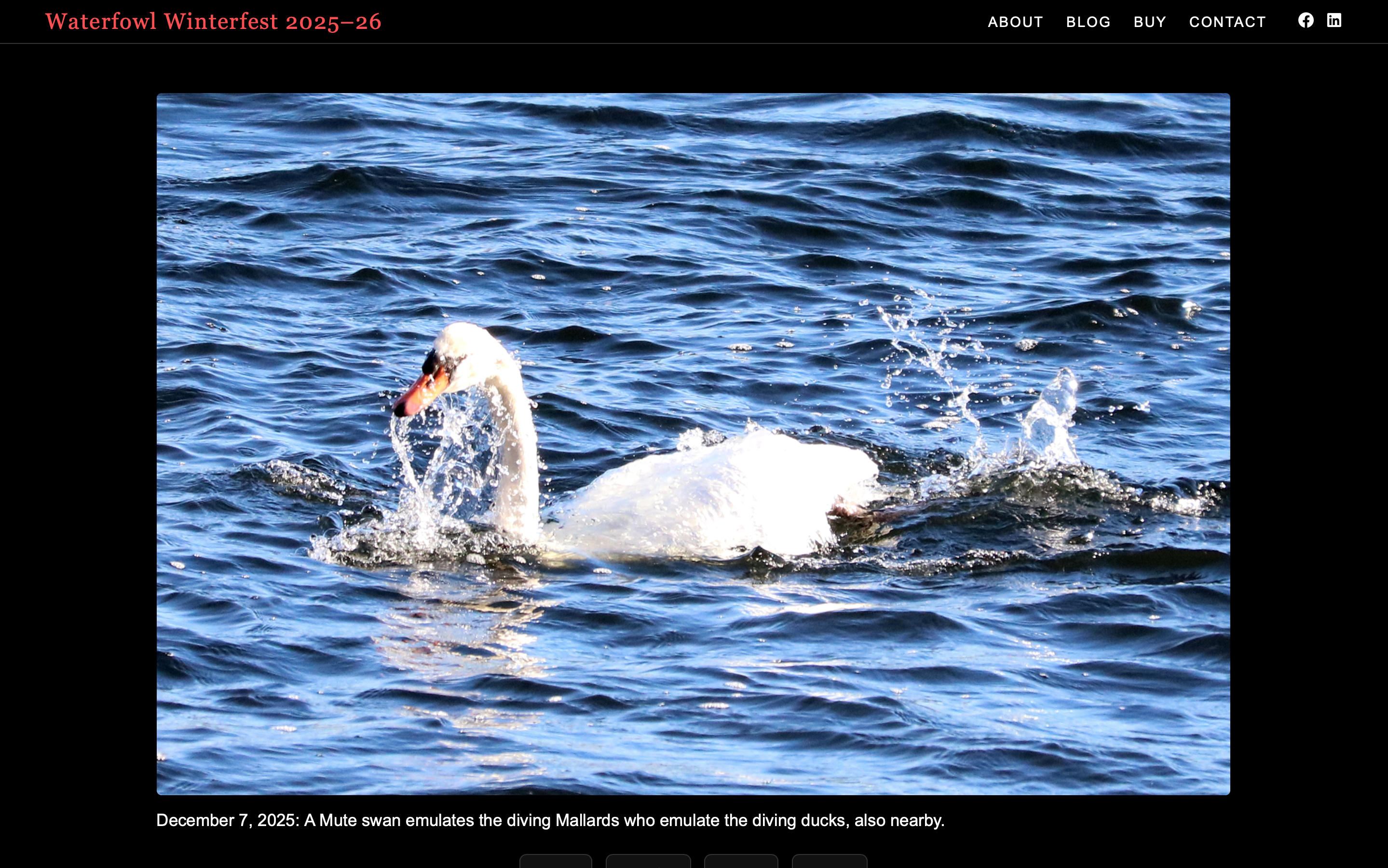 New automated SlideShow that covers 2025-26 winter migration season