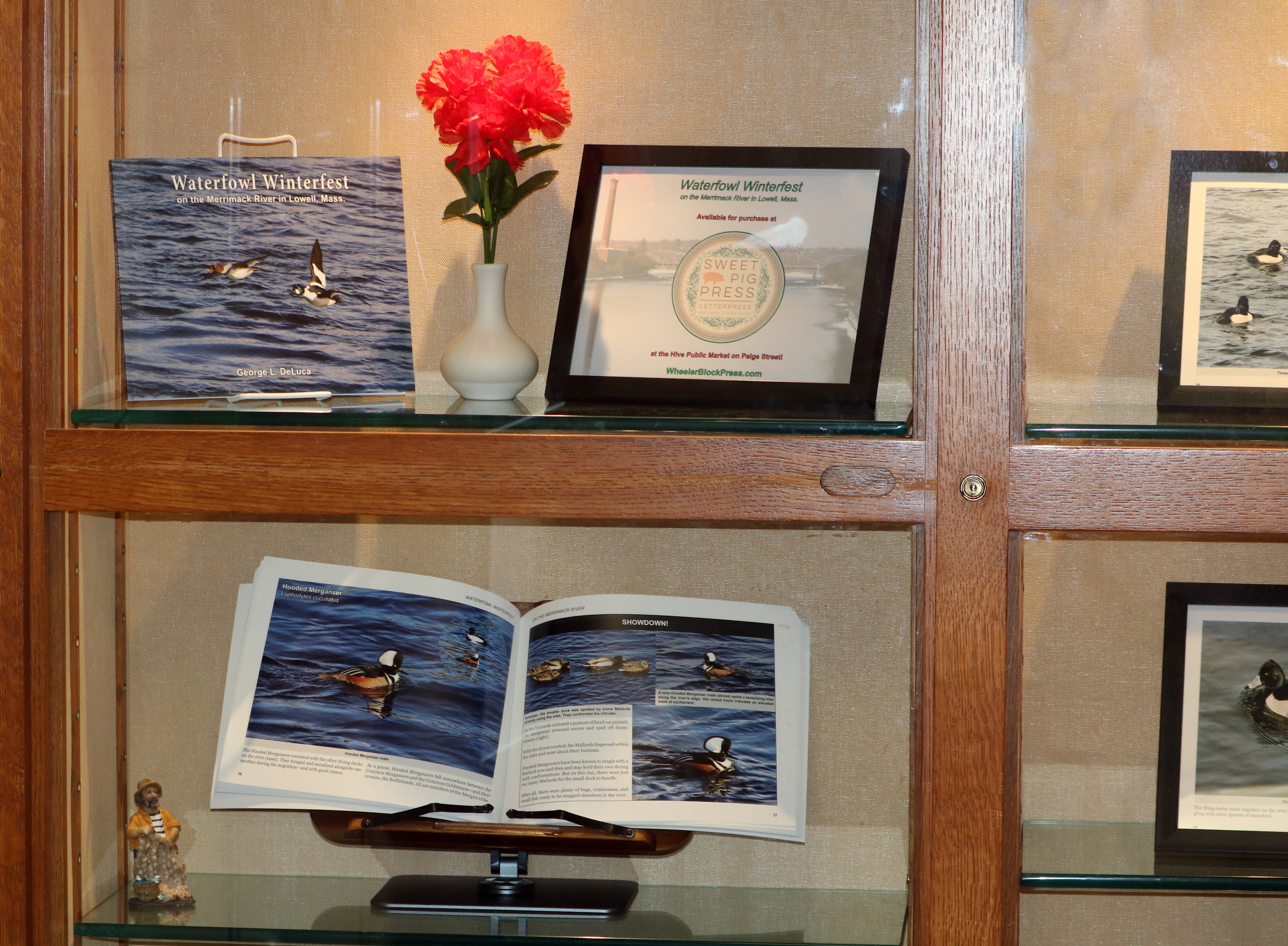 Colburn St. display case at Pollard Memorial Library